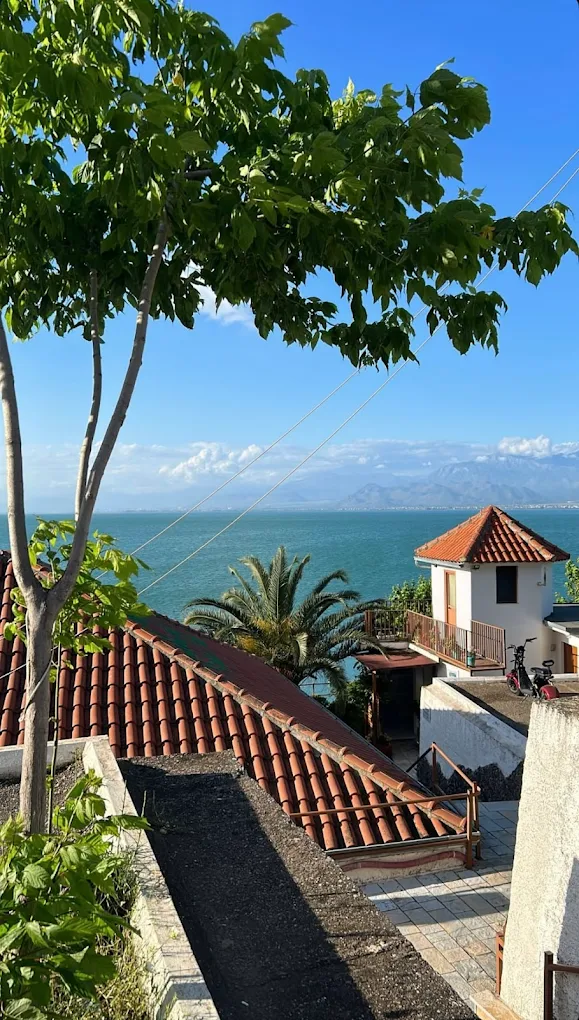 Houses near sea and palm trees